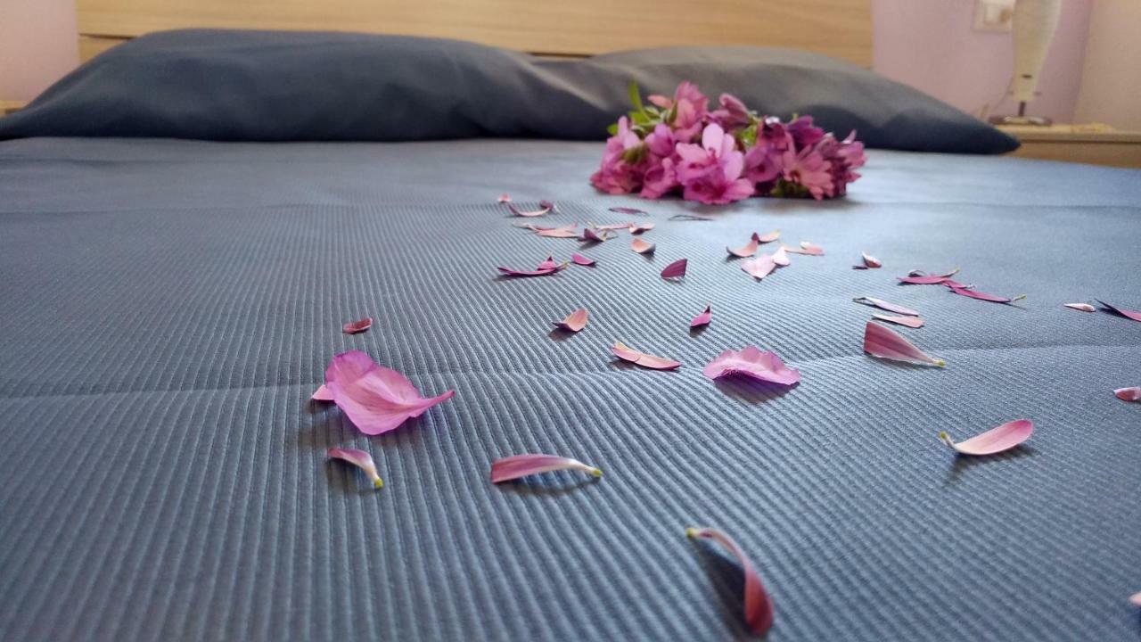 Bidreams Vakantiehuis *